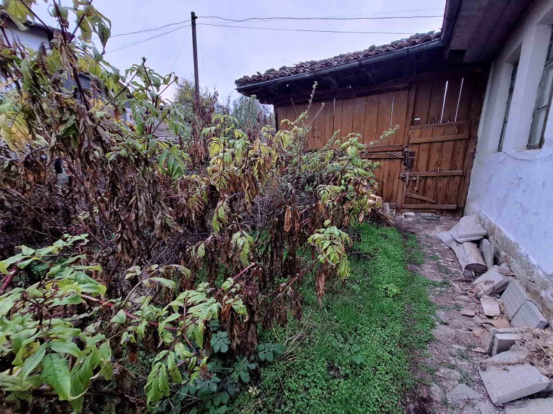 Продаја  Кућа регион Велико Тарново , Пчелиште , 80 м2 | 76430719 - слика [5]