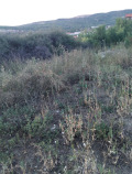 Продава ПАРЦЕЛ, гр. Дупница, област Кюстендил, снимка 2