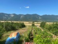 Продава КЪЩА, гр. Враца, Кулата, снимка 3