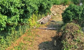 ������� ���� | Imot.bg � ����� ������ 6