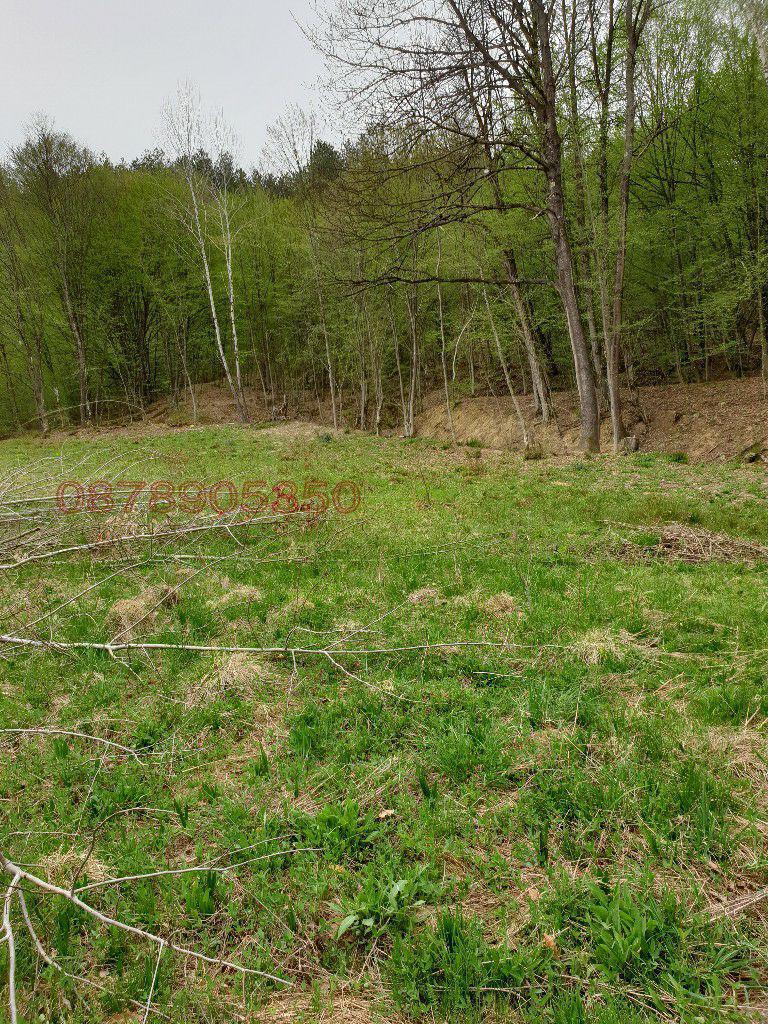 Продава ПАРЦЕЛ, гр. Априлци, област Ловеч, снимка 13 - Парцели - 52786257