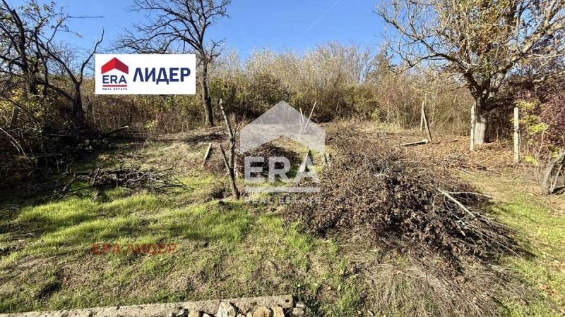 Продава ПАРЦЕЛ, с. Николово, област Русе, снимка 2 - Парцели - 52622050