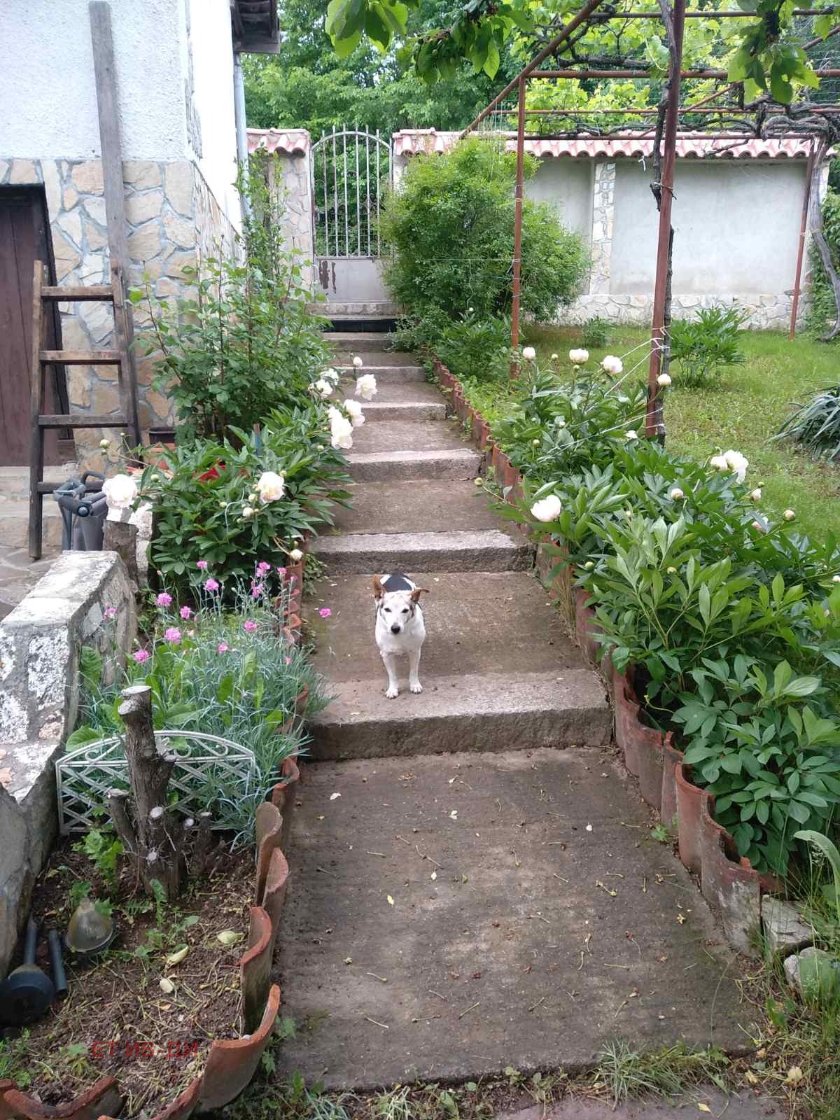 ������� ���� | Imot.bg � ����������� 2