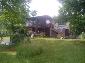 ������ ������� ����