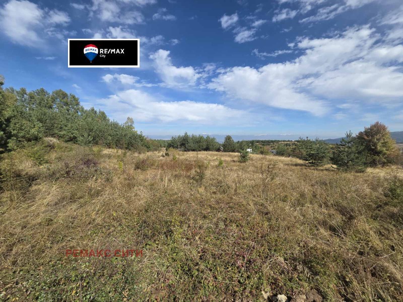 De vânzare  Complot Sofia , Bistrița , 5957 mp | 76279021 - imagine [2]