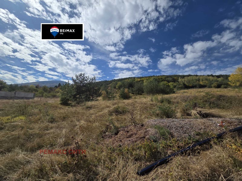 De vânzare  Complot Sofia , Bistrița , 5957 mp | 76279021 - imagine [4]