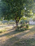 Продава КЪЩА, област София, с. Очуша • 65000 € • 38010089 — Holmes.bg