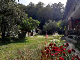 Plott Ribaritsa, region Lovech 8