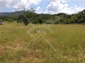 ������ ������� ������