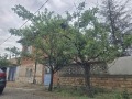 Продава КЪЩА, с. Цалапица, област Пловдив, снимка 4