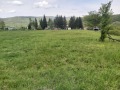 Продава ЗЕМЕДЕЛСКА ЗЕМЯ, с. Калейца, област Ловеч, снимка 3