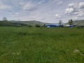 Продава ЗЕМЕДЕЛСКА ЗЕМЯ, с. Калейца, област Ловеч, снимка 4