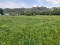 Продава ЗЕМЕДЕЛСКА ЗЕМЯ, с. Калейца, област Ловеч, снимка 6