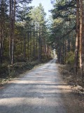 Продава КЪЩА, град София, с. Лозен • 65000 € • 97237475 — Holmes.bg