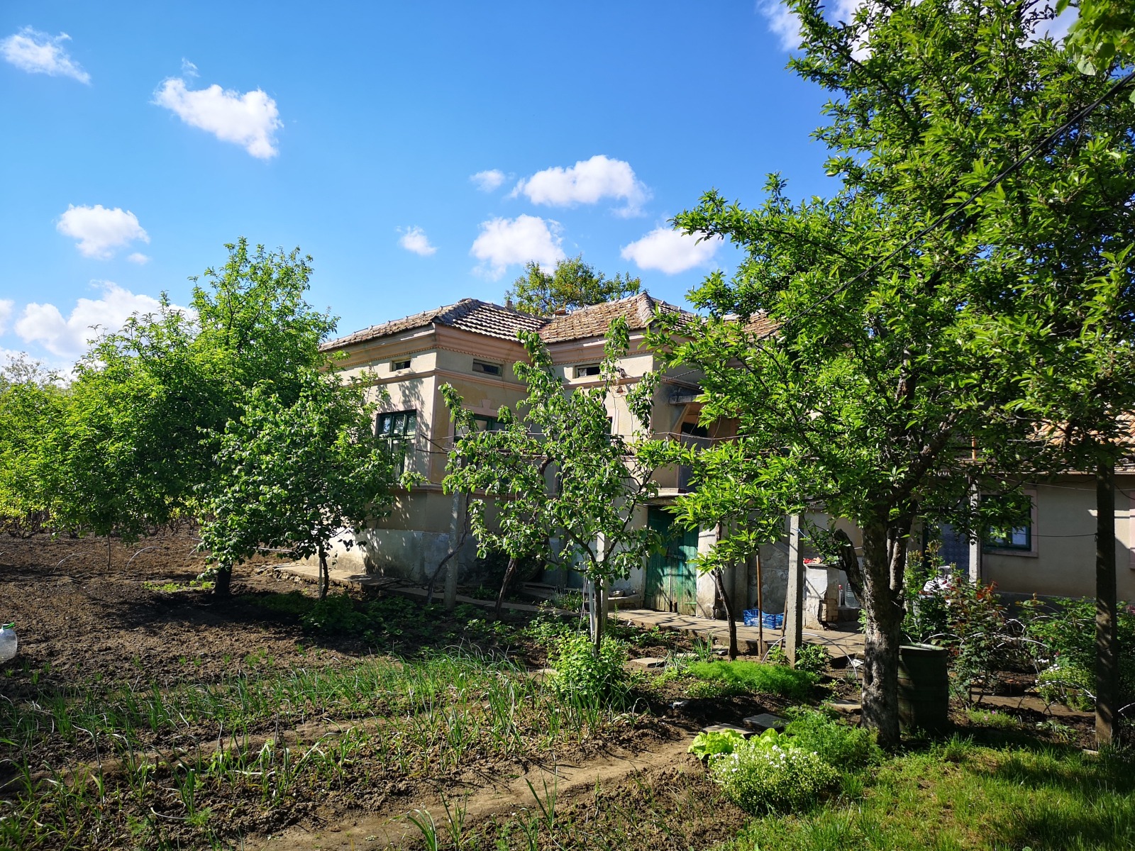 Продава КЪЩА, с. Медово, област Добрич