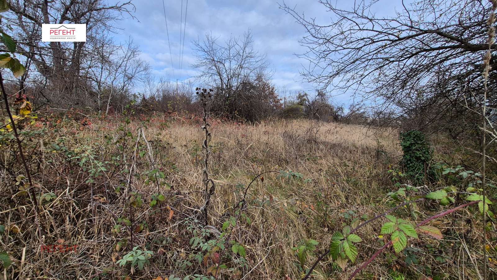 ������� ������ | Imot.bg � ����������� 3