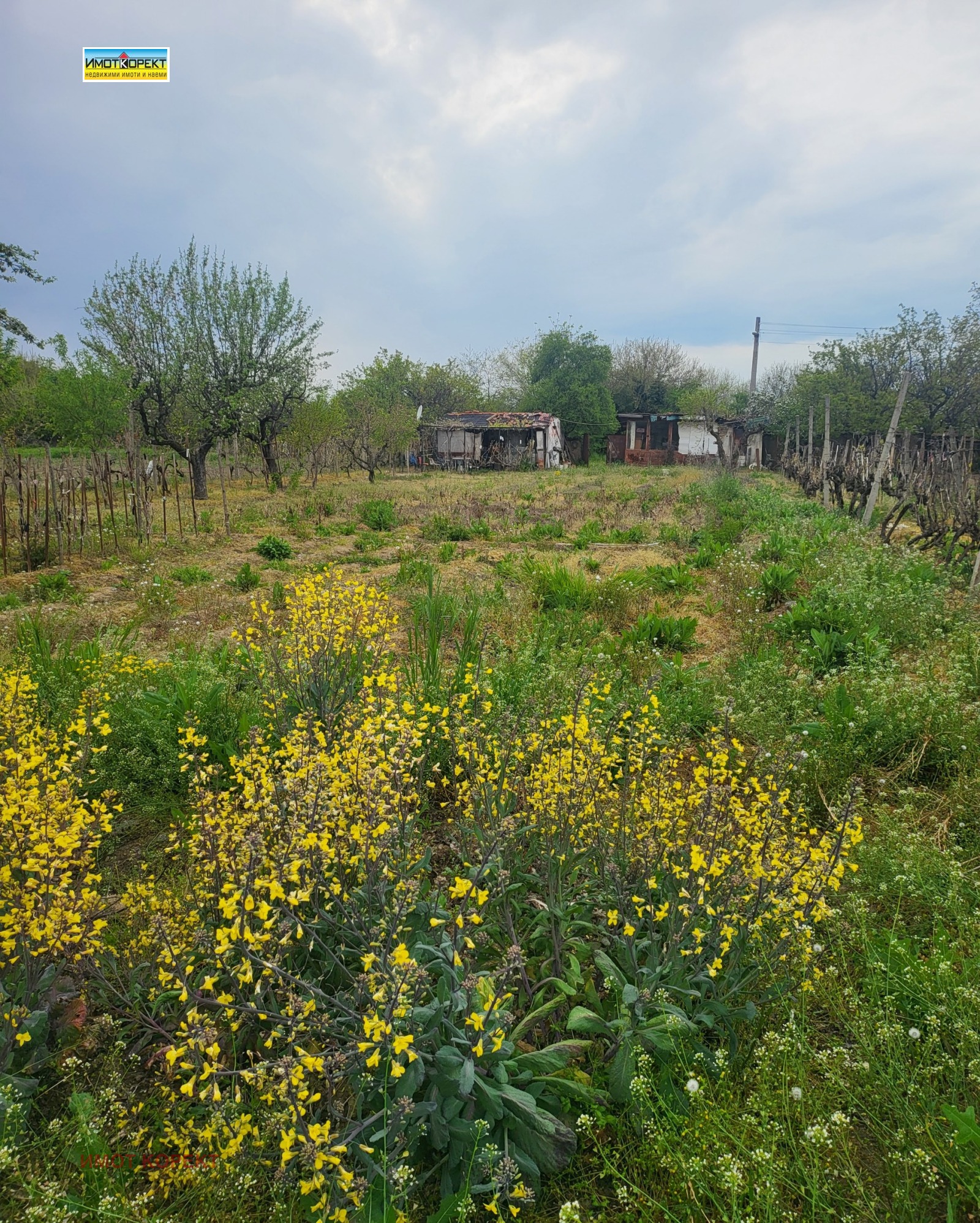 ������� ������ | Imot.bg � ����������� 2