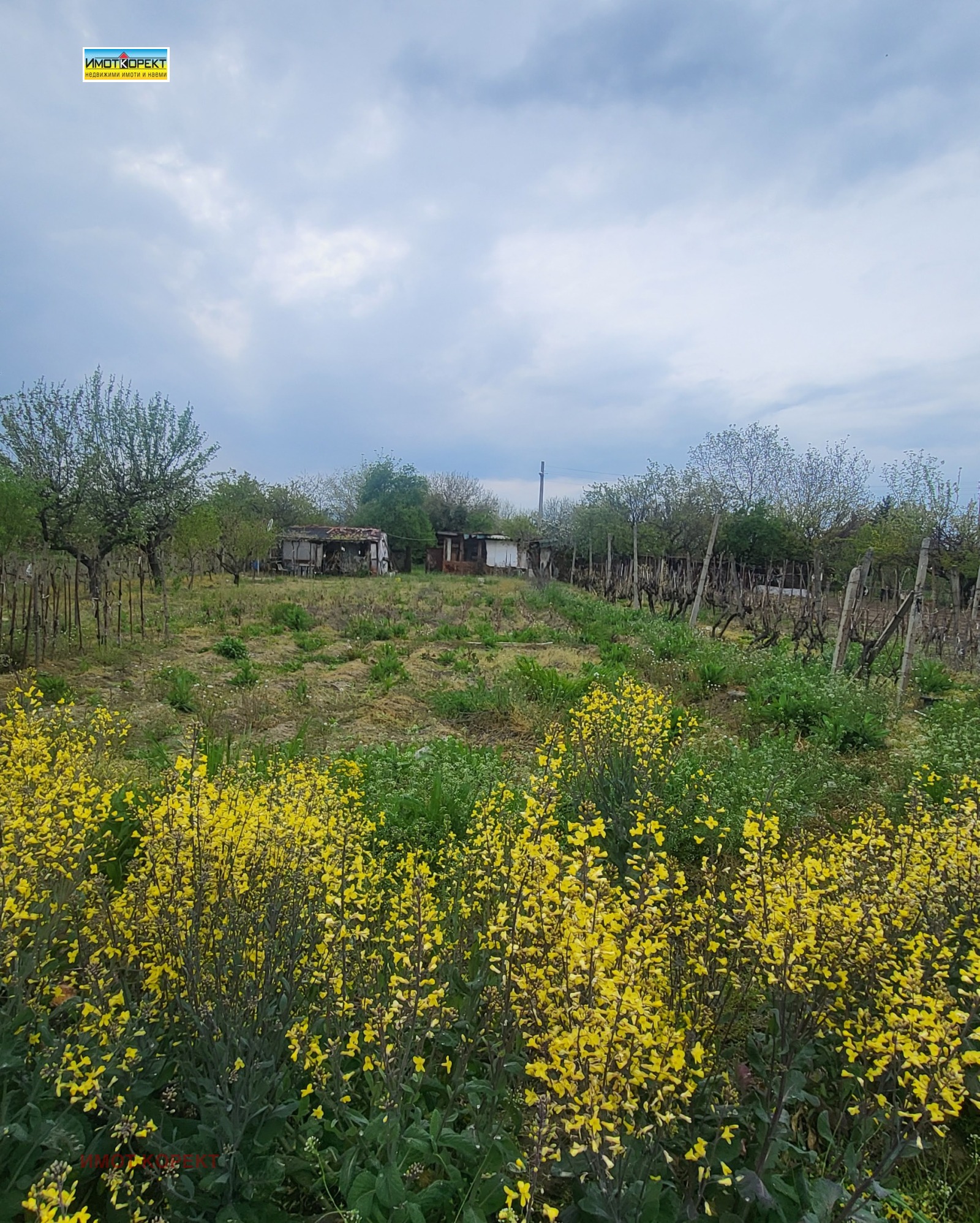 ������� ������ | Imot.bg � ����������� 5