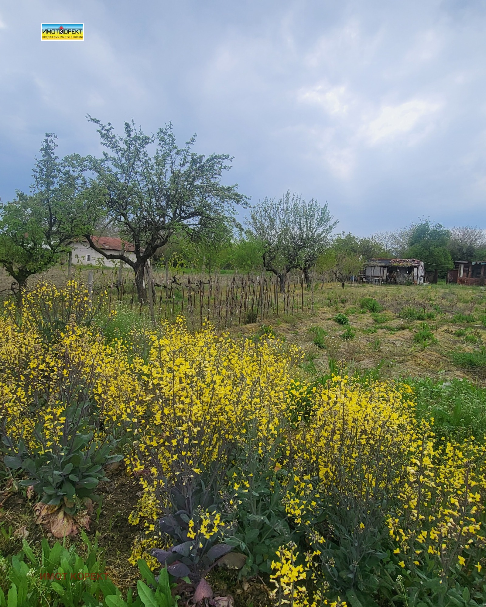 ������� ������ | Imot.bg � ����������� 4