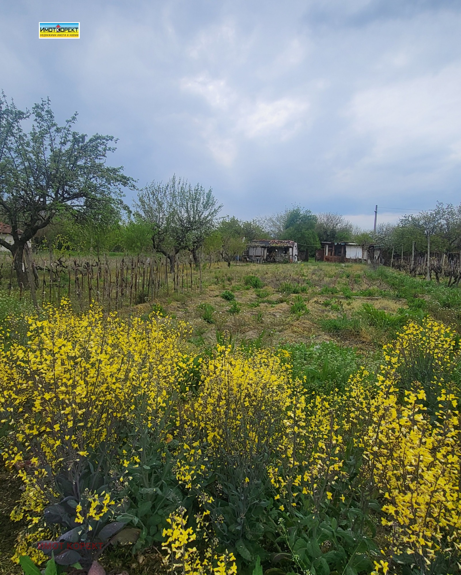 ������� ������ | Imot.bg � ����������� 1