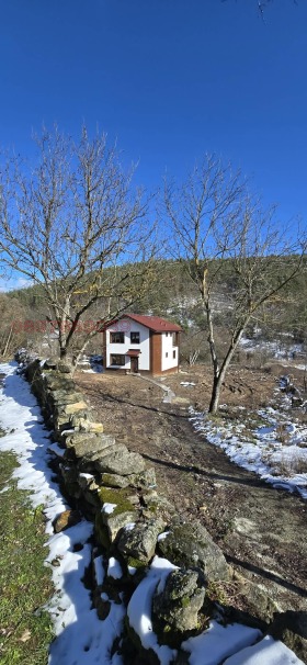 ����� ������� ����,�. ��������, ������ �����