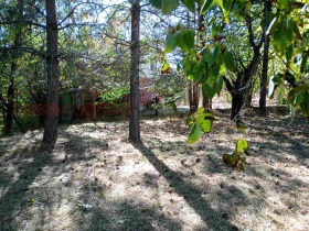 ������� ������ | Imot.bg � ����� ������ 6