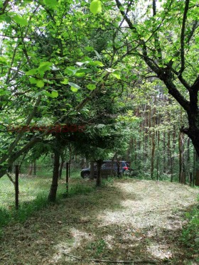 ������� ������ | Imot.bg � ����� ������ 11