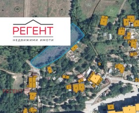 ����� ������� ������,���� �������, �������