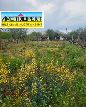 ����� ������� ������,�. ���� ������, ������ ���������