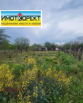 ����� ������� ������,�. ���� ������, ������ ���������