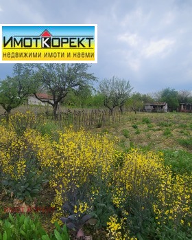 ����� ������� ������,�. ���� ������, ������ ���������>