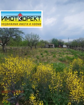 ����� ������� ������,�. ���� ������, ������ ���������