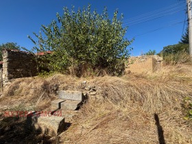 ������� ������ | Imot.bg � ����� ������ 17