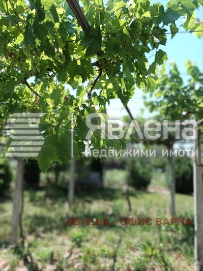 Продава КЪЩА, с. Ветрино, област Варна, снимка 7 - Къщи - 48301996