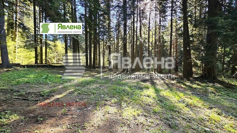 Продава  Парцел област София , к.к. Боровец , 3427 кв.м | 62848838 - изображение [4]