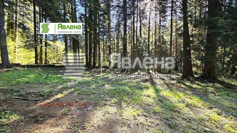 Продава  Парцел област София , к.к. Боровец , 3427 кв.м | 62848838 - изображение [2]