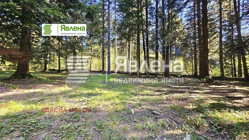 Продава  Парцел област София , к.к. Боровец , 3427 кв.м | 62848838 - изображение [12]