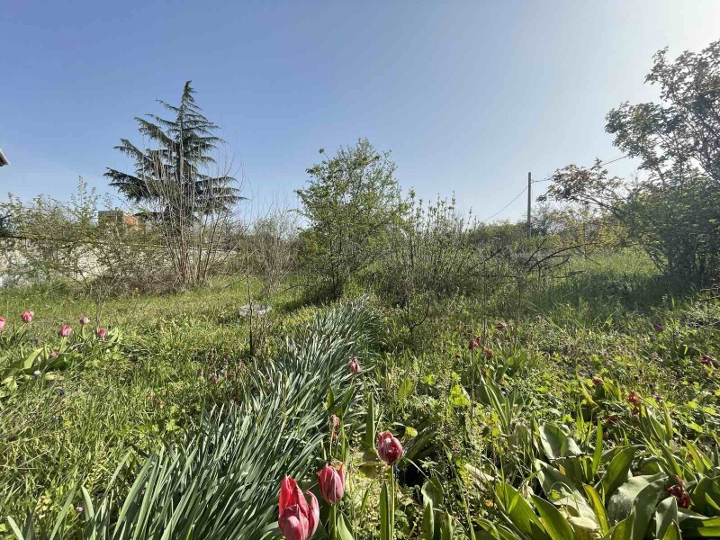En venta  Trama Varna , m-t Mentesheto , 725 metros cuadrados | 24530988
