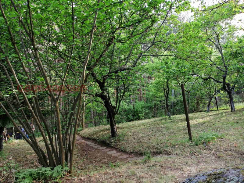 Продава ПАРЦЕЛ, гр. Самоков, област София област, снимка 10 - Парцели - 53405615