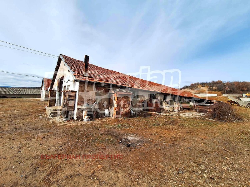 Продава БИЗНЕС ИМОТ, гр. Кочериново, област Кюстендил, снимка 3 - Други - 49791889