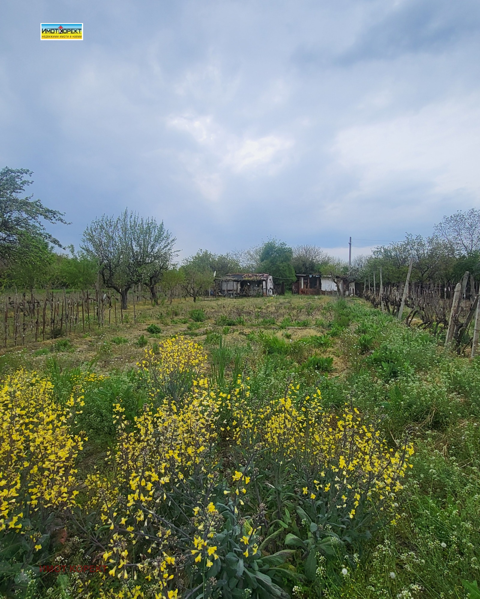 Продава ПАРЦЕЛ, с. Мало Конаре, област Пазарджик, снимка 3 - Парцели - 54300372