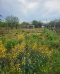 Продава ПАРЦЕЛ, област Пазарджик, с. Мало Конаре • 18000 € / 35204.94 лв. • 85384558 2