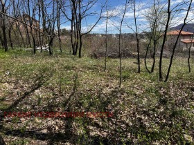 ����� ������� ������,���� �������, �������