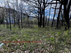 ����� ������� ������,���� �������, �������