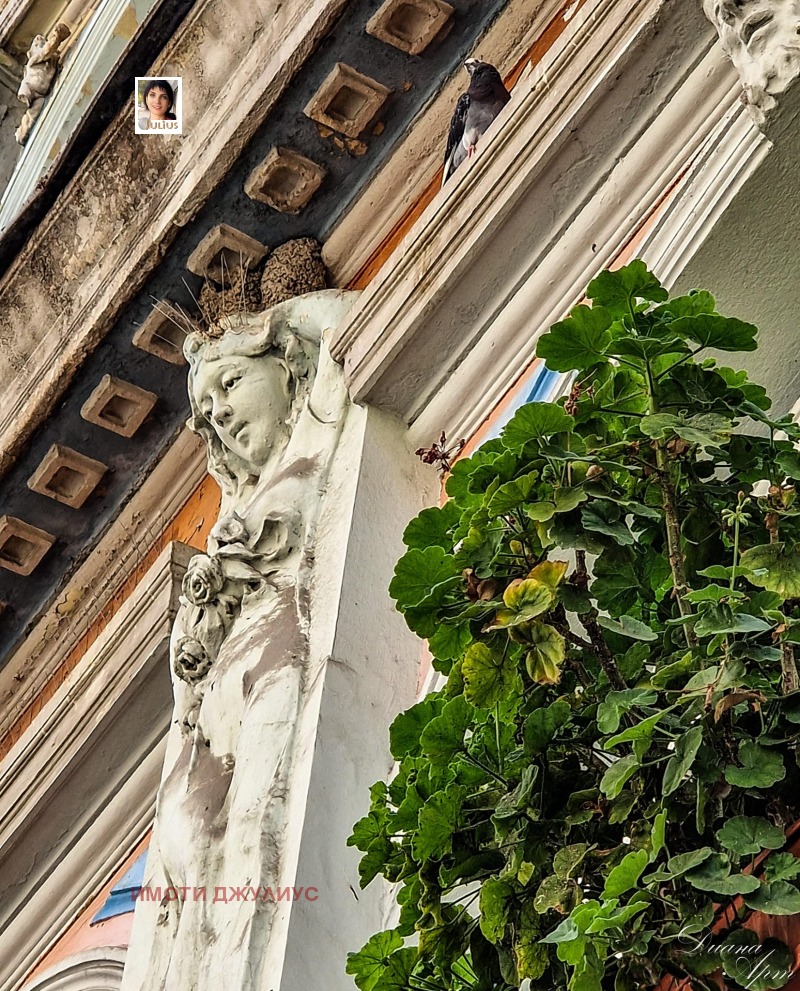 Продава ЕТАЖ ОТ КЪЩА, гр. Пловдив, Център, снимка 2 - Етаж от къща - 52616283