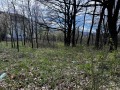Продава ПАРЦЕЛ, гр. Габрово, Русевци, снимка 3
