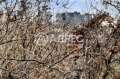 Продава ПАРЦЕЛ, гр. Варна, м-т Ментешето, снимка 1