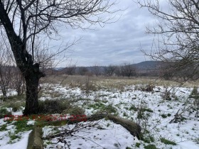 ����� ������� ������,�. �������, ������ �����