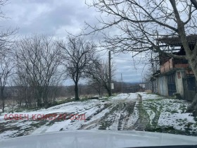 ����� ������� ������,�. �������, ������ �����