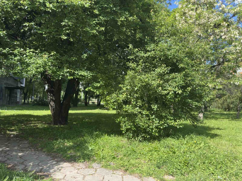 À venda  Estúdio Sofia , Strelbichtche , 31 m² | 77928829 - imagem [8]